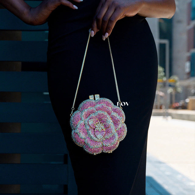 Cartera Vichy